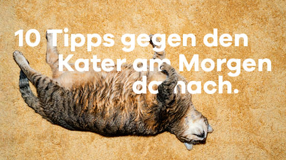 Kater liegt am Boden