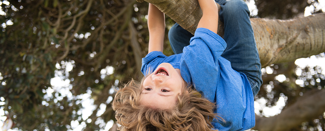 Kletterndes Kind lässt sich von Baum hängen