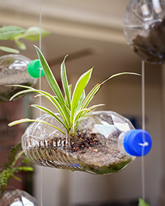 Vertikaler Garten aus PET-Flaschen