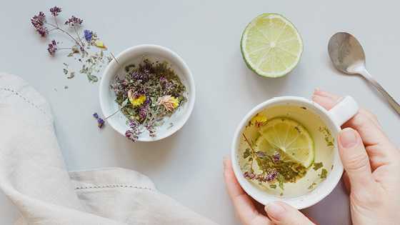 Teetasse mit Kräutern und Limone