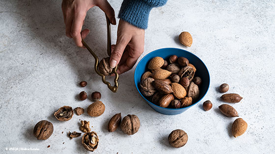 Nuesse werden geknackt