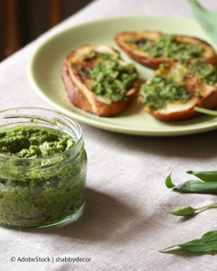 Glas voll Bärlauch-Pesto