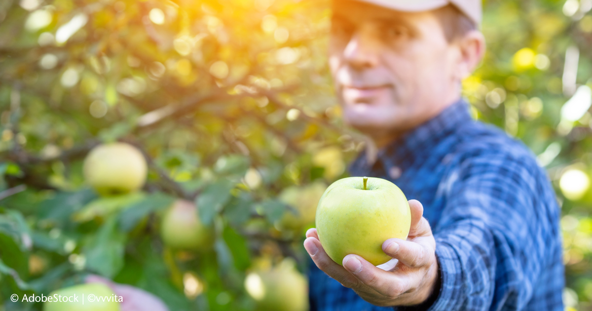 Mann reicht Apfel