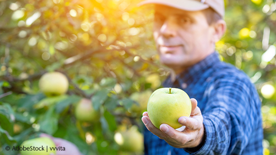 Mann reicht Apfel
