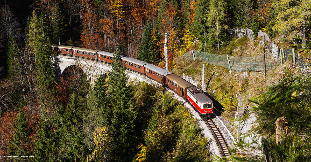 Zug fährt über Brücke in der Natur