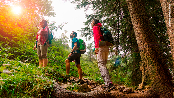 Wanderrouten in Österreich und Umgebung