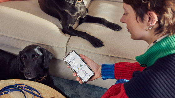 Rechnungen einreichen