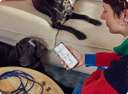 Einreichung Krankenversicherung 