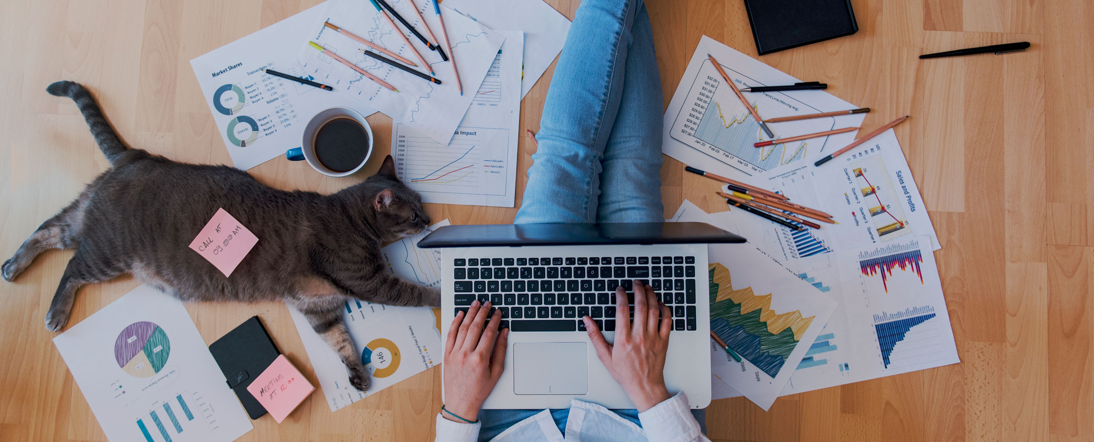 Frau arbeitet zu Hause mit Katze