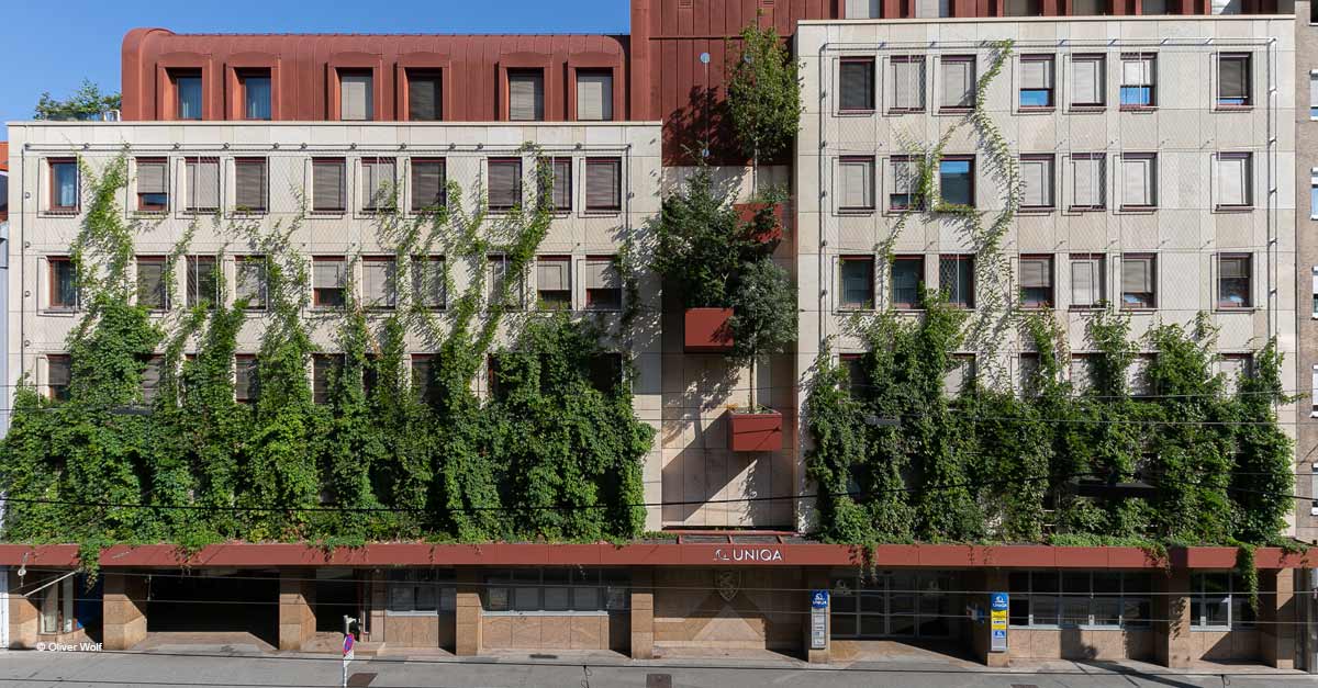Fassadenbegrünung: Schluss mit grauen Wänden | UNIQA Österreich | UNIQA